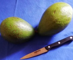 Avocado from Burundi